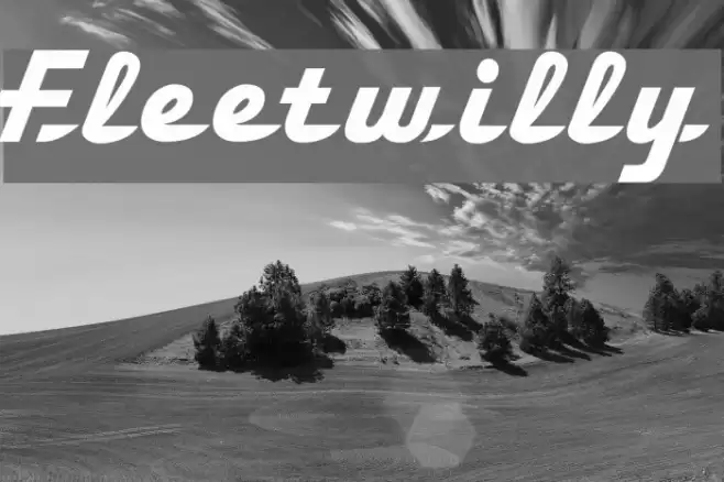 Fleetwilly Font examples
