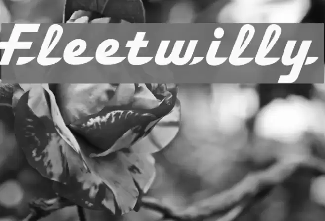 Fleetwilly Font examples