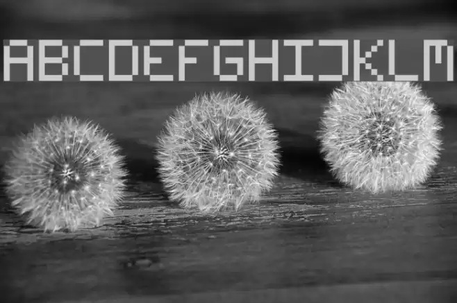 Fleftex Mono Font examples