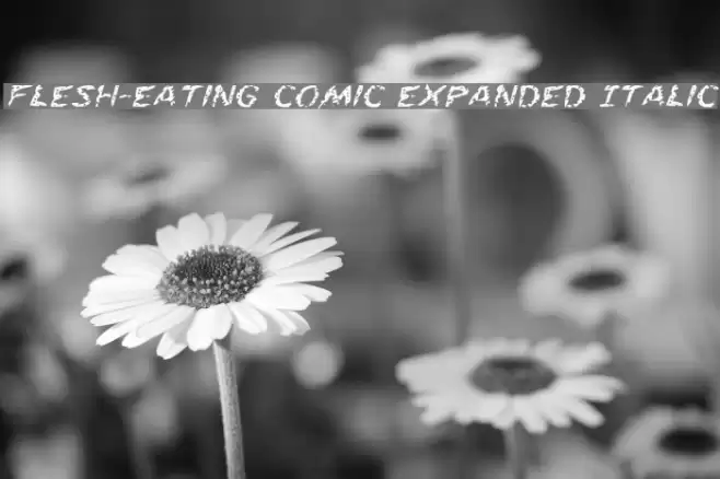 Flesh-Eating Comic Expanded Italic Font examples