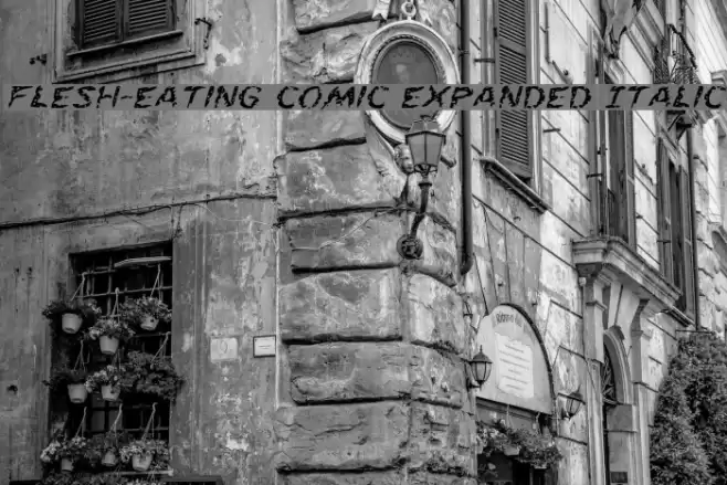 Flesh-Eating Comic Expanded Italic Font examples