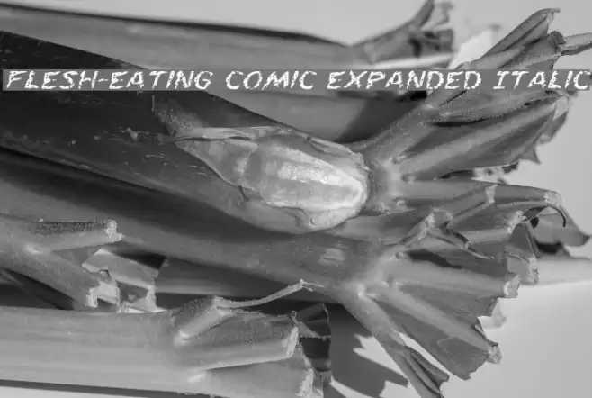 Flesh-Eating Comic Expanded Italic Font examples