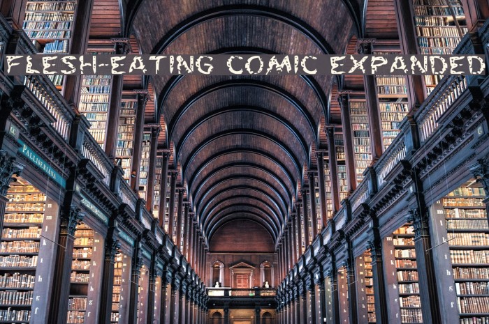 Flesh-Eating Comic Expanded Font examples