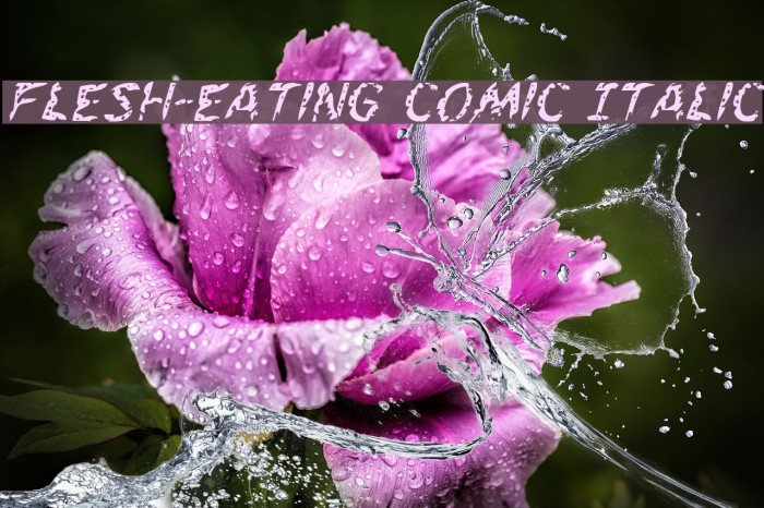 Flesh-Eating Comic Italic Example 3