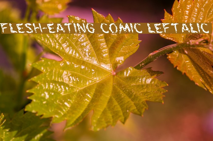 Flesh-Eating Comic Leftalic Font examples