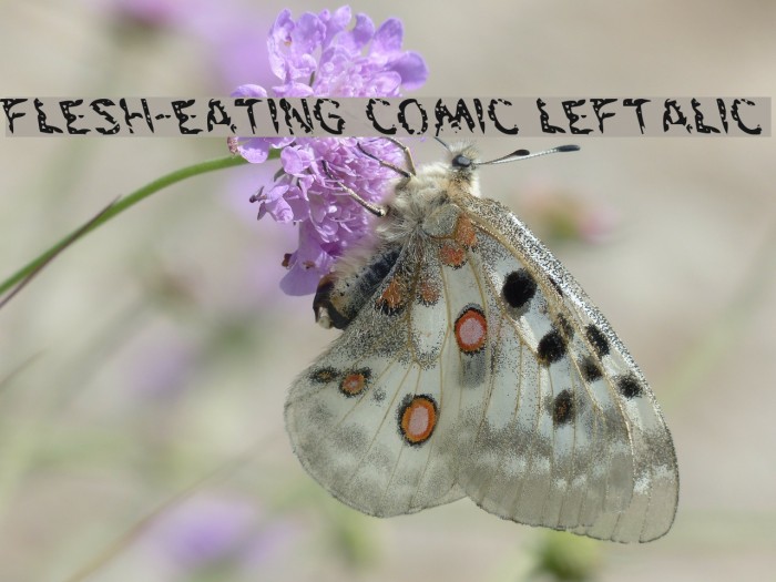 Flesh-Eating Comic Leftalic Font examples