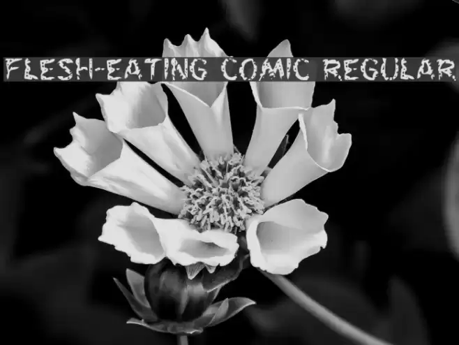 Flesh-Eating Comic Regular Font examples