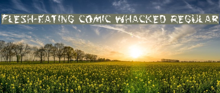 Flesh-Eating Comic Whacked Regular Example 3