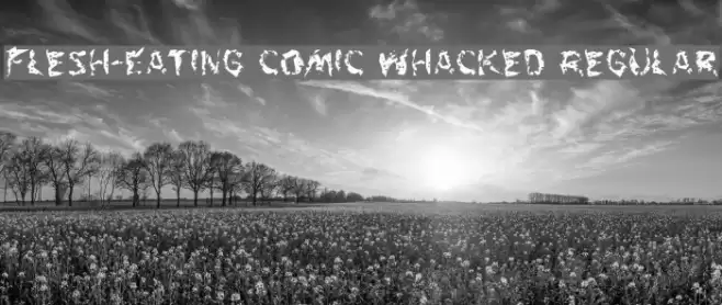 Flesh-Eating Comic Whacked Regular Font examples