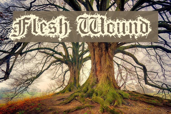 Flesh Wound Font examples