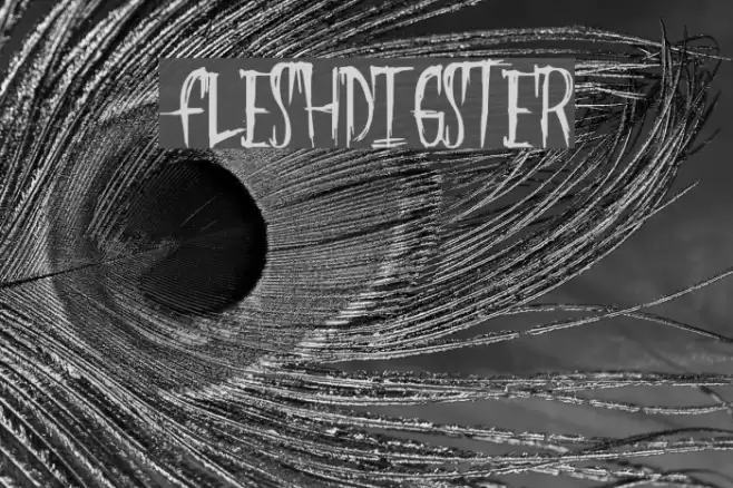 FleshDigster Font examples