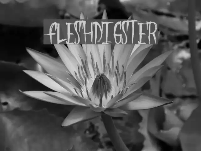 FleshDigster Font examples