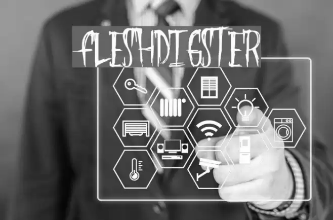 FleshDigster Font examples