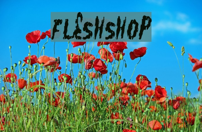 FleshShop Font examples