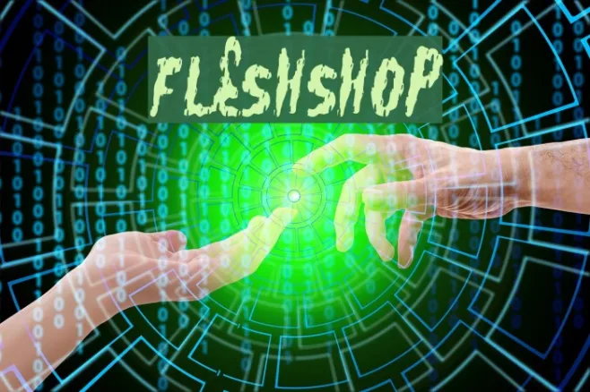 FleshShop Example 2