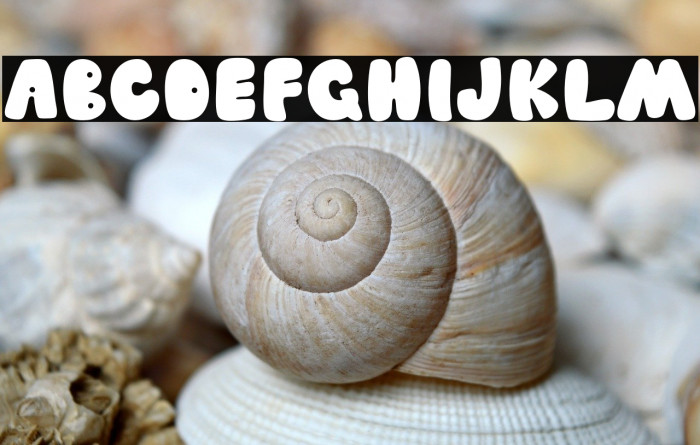 Fleshy Chubby Example 1