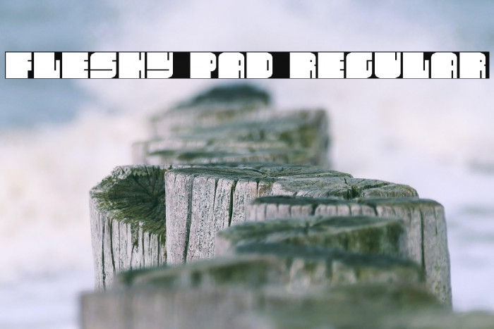 Fleshy Pad Regular Example 1