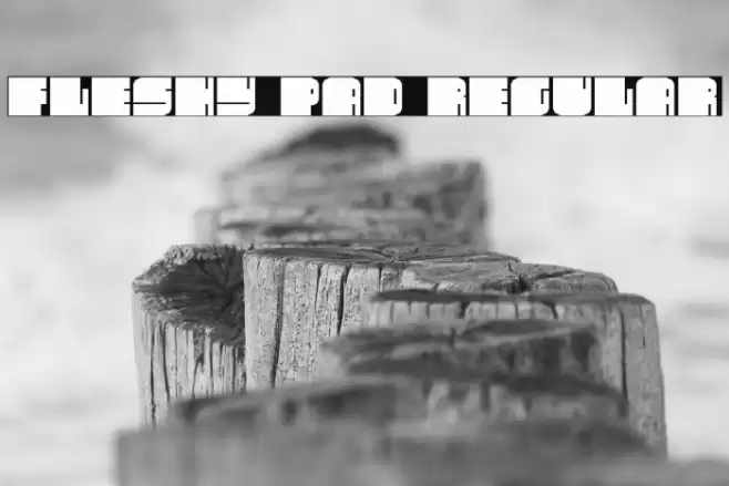 Fleshy Pad Regular Font examples