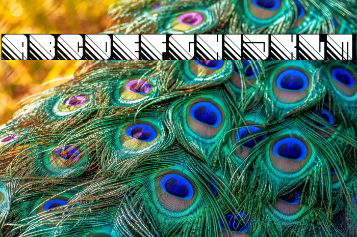 Fleshy Spare Regular Example 2