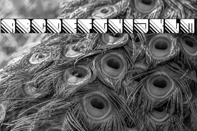 Fleshy Spare Regular Font examples