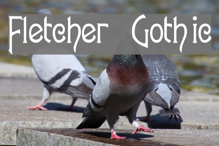 Fletcher-Gothic Font examples