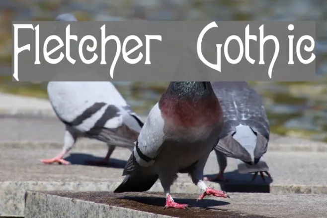 Fletcher-Gothic Example 2