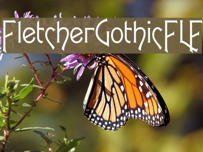 FletcherGothicFLF Example 1