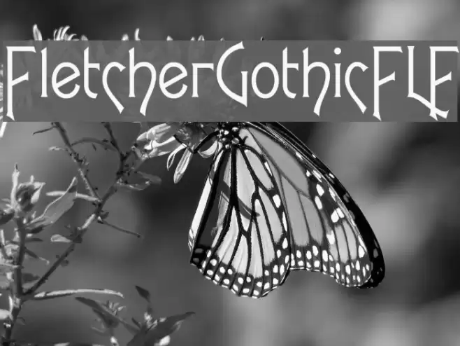 FletcherGothicFLF Font examples