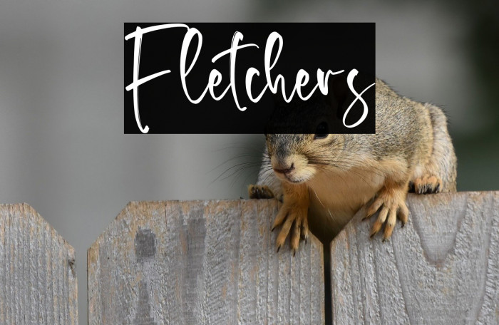 Fletchers Example 3