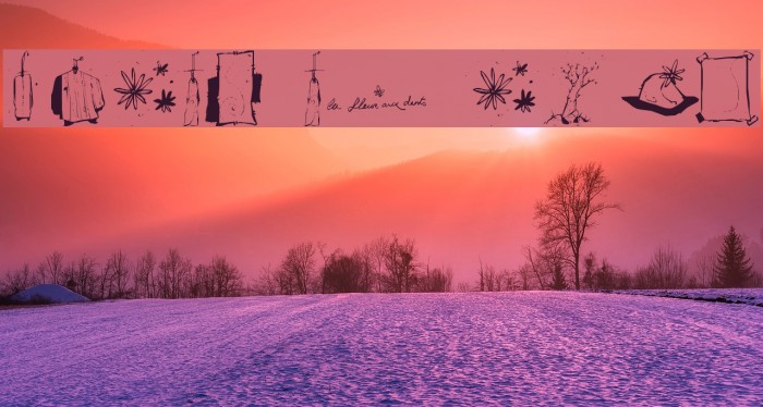 Fleur Aux Dents Example 2