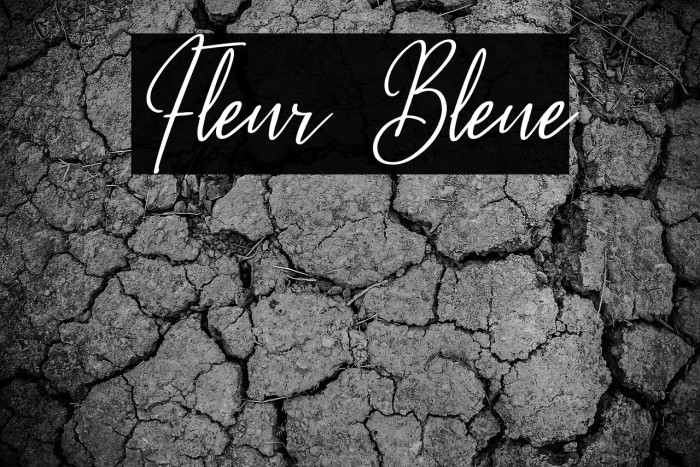 Fleur Bleue Example 1