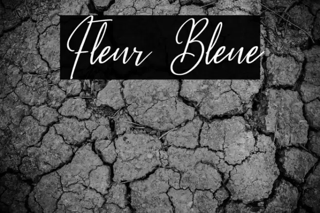 Fleur Bleue Font examples