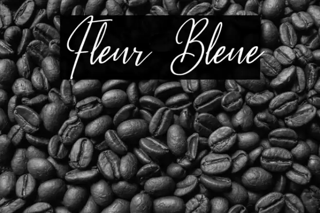 Fleur Bleue Font examples