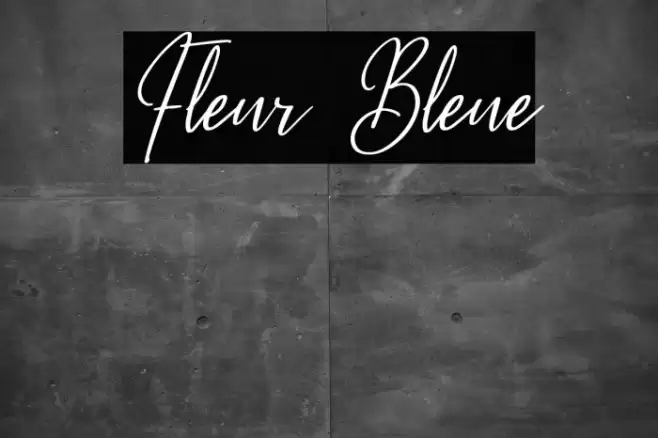 Fleur Bleue Font examples