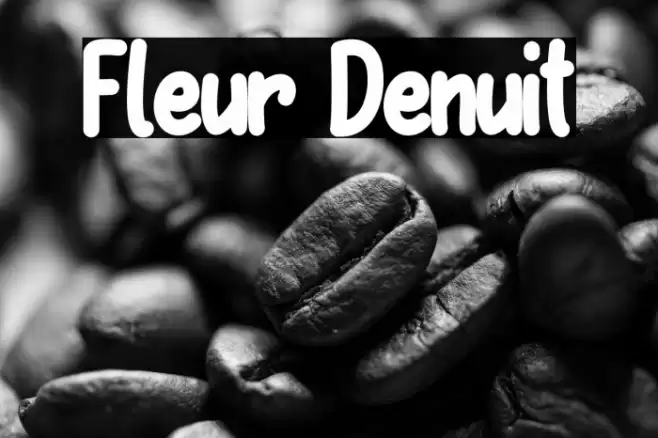 Fleur Denuit Font examples