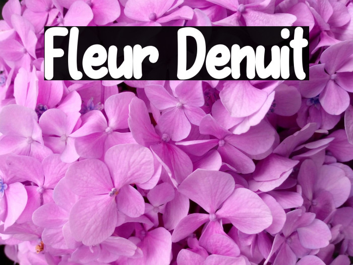 Fleur Denuit Schriftart examples