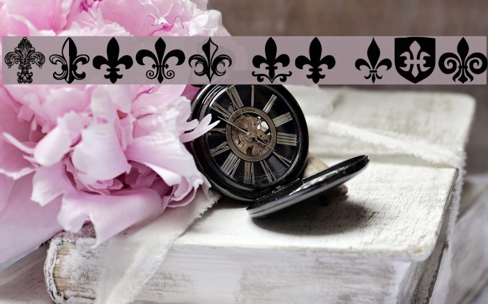 Fleur de Lis Font examples