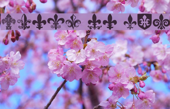 Fleur de Lis Font examples