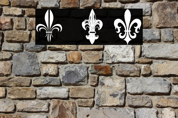Fleur de Lys Regular Example 1