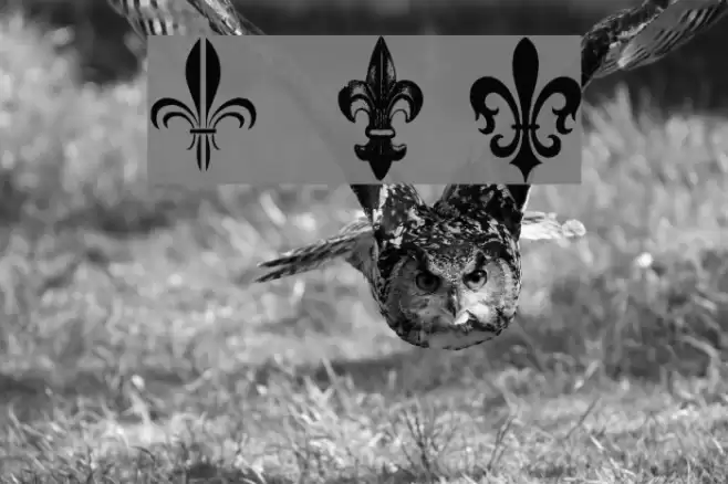 Fleur de Lys Regular Font examples