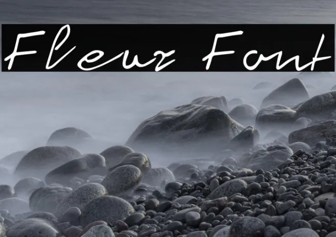 Fleur Example 3