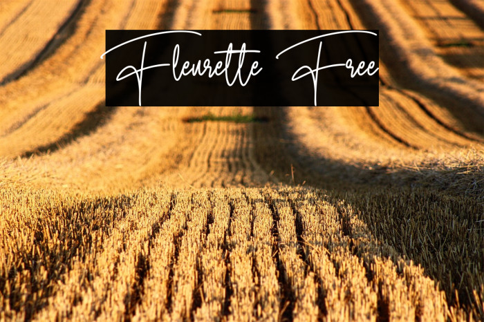 Fleurette Free Example 3