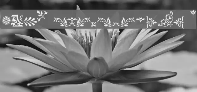 Fleurons Font examples