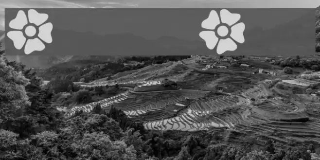 Fleurs Font Font examples