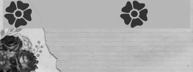 Fleurs Font Font examples