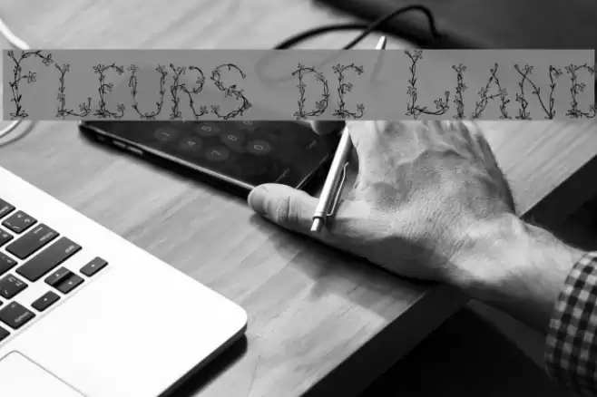 Fleurs de Liane Font examples