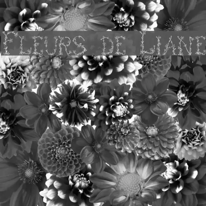 Fleurs de Liane Font examples