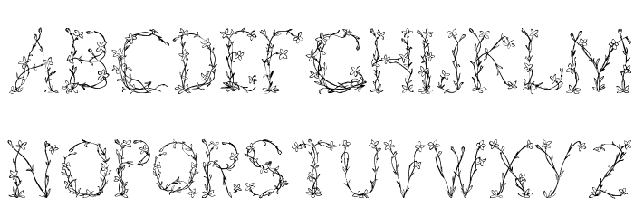 Fleurs de Liane Font Litere mici