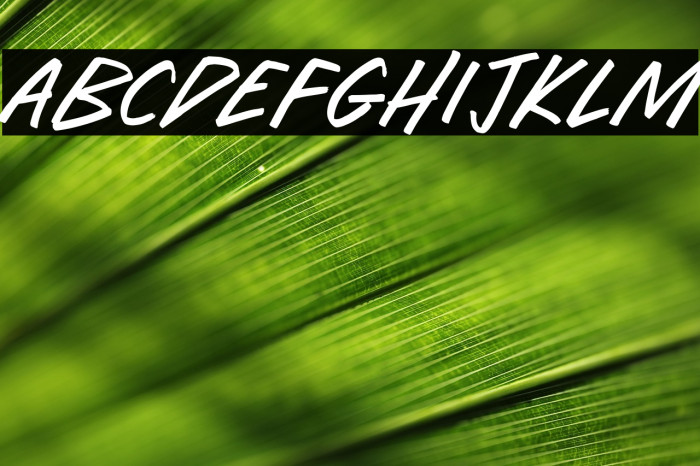 Flex Bender Example 2