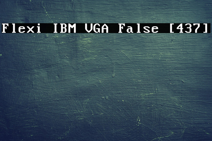 Flexi IBM VGA False [437] Example 1